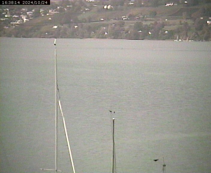 Beinwil am See: Hallwilersee Nord 2