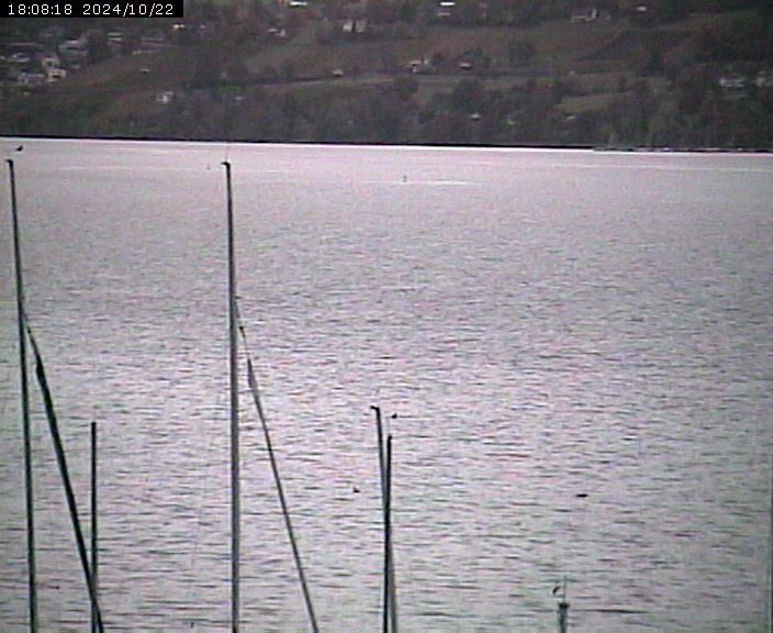 Beinwil am See: Hallwilersee Nord 2