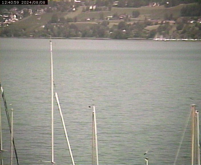 Beinwil am See: Hallwilersee Nord 2