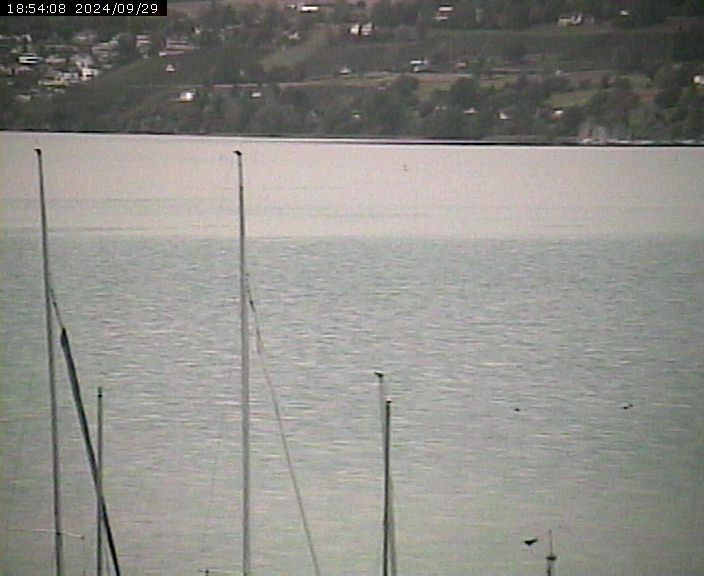 Beinwil am See: Hallwilersee Nord 2