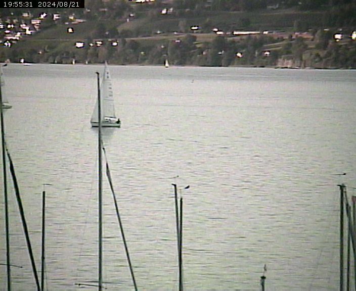 Beinwil am See: Hallwilersee Nord 2