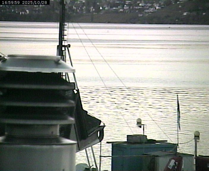 Beinwil am See: Hallwilersee Nord 2