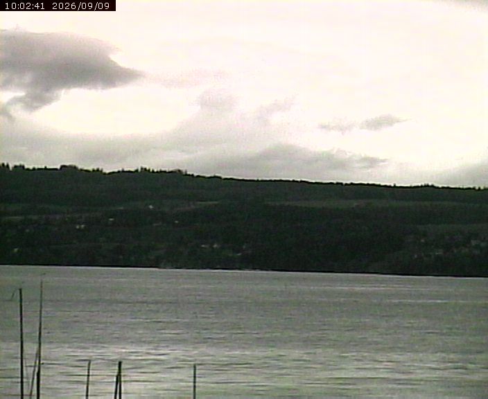 Beinwil am See › Nordosten: Lake Hallwil