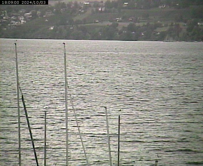 Beinwil am See: Hallwilersee Nord 2