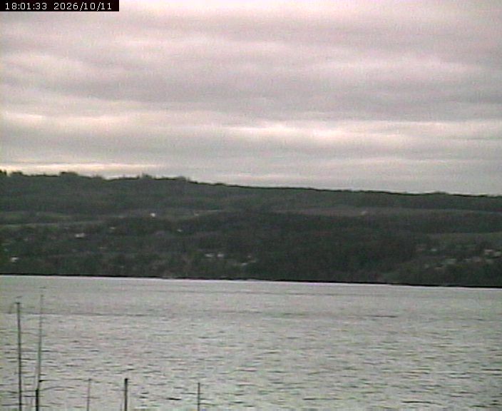 Beinwil am See › Nordosten: Lake Hallwil