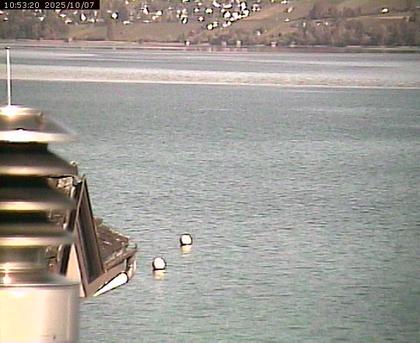 Beinwil am See: Hallwilersee Nord 2