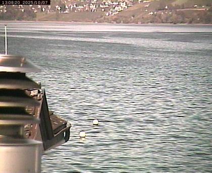 Beinwil am See: Hallwilersee Nord 2