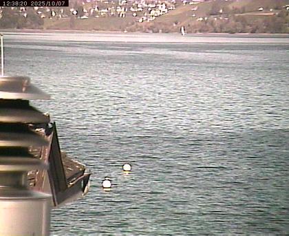 Beinwil am See: Hallwilersee Nord 2