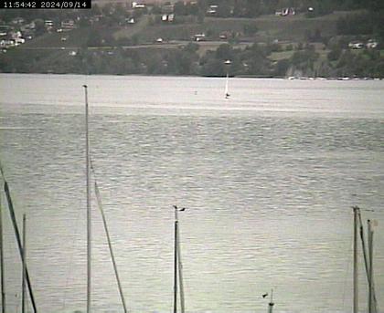 Beinwil am See: Hallwilersee Nord 2