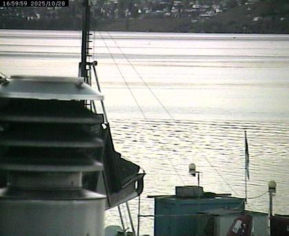 Beinwil am See: Hallwilersee Nord 2