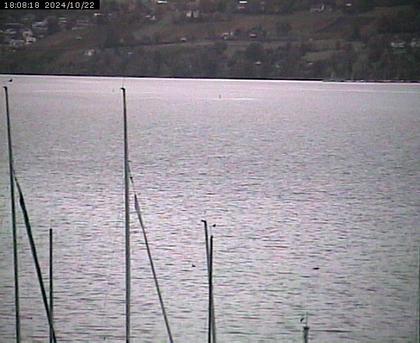 Beinwil am See: Hallwilersee Nord 2