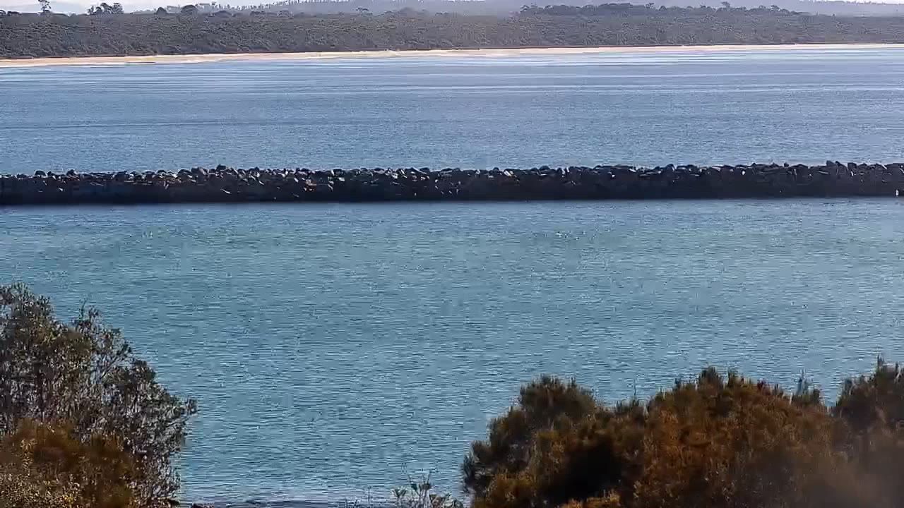 Garlandtown: Moruya Heads