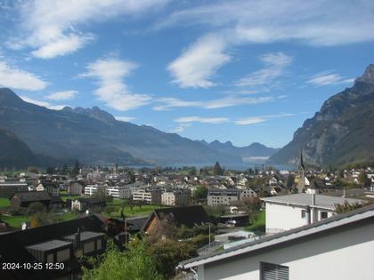 Walenstadt › West: Walensee