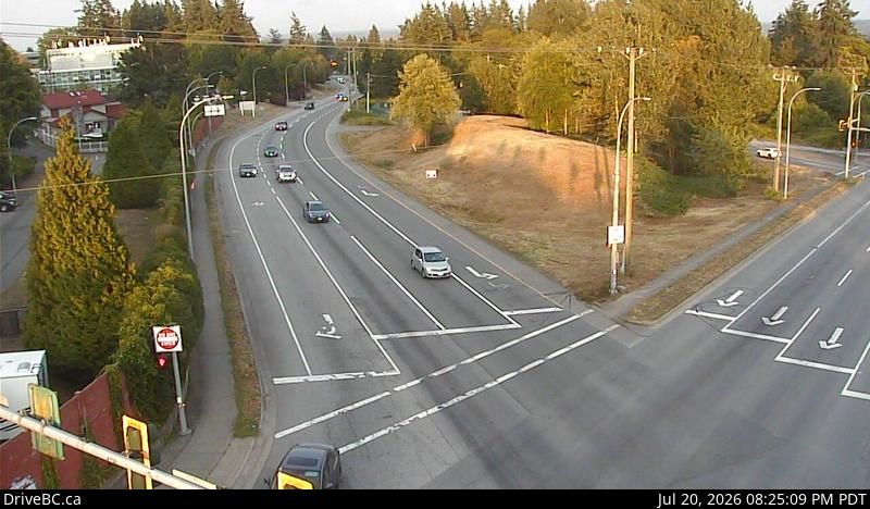 Surrey during daytime