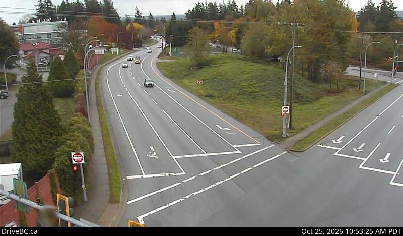 Surrey webcam