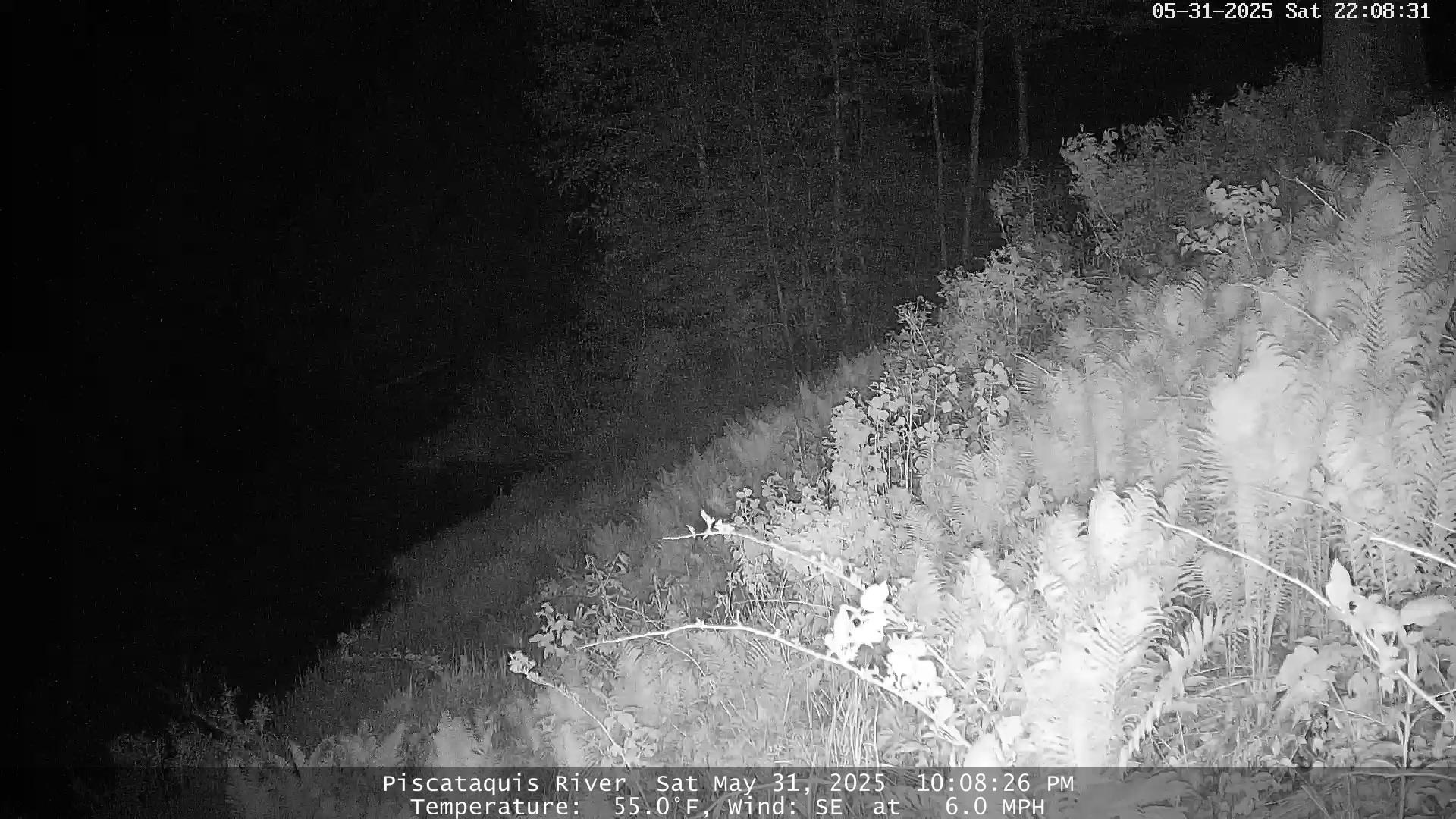 Derry NH Webcam