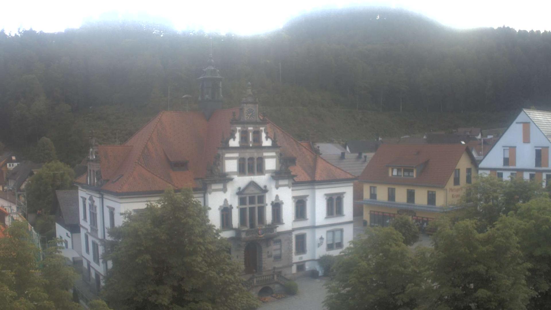Bollen building Webcam