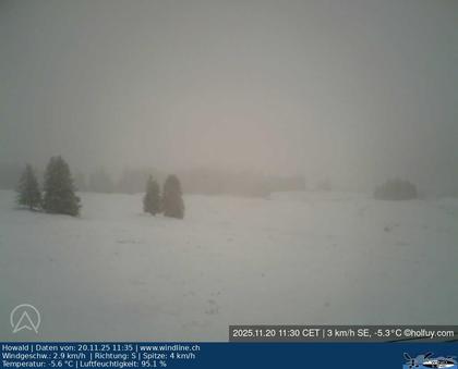 Beatenberg: Skilift Hohwald Beatenberg AG