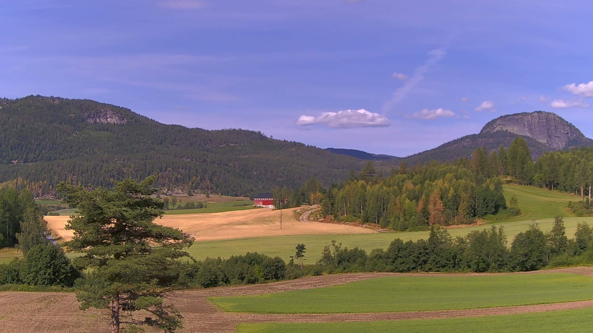 Prestfoss webkamera