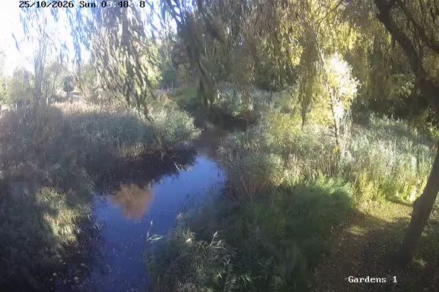 Peterborough webcam